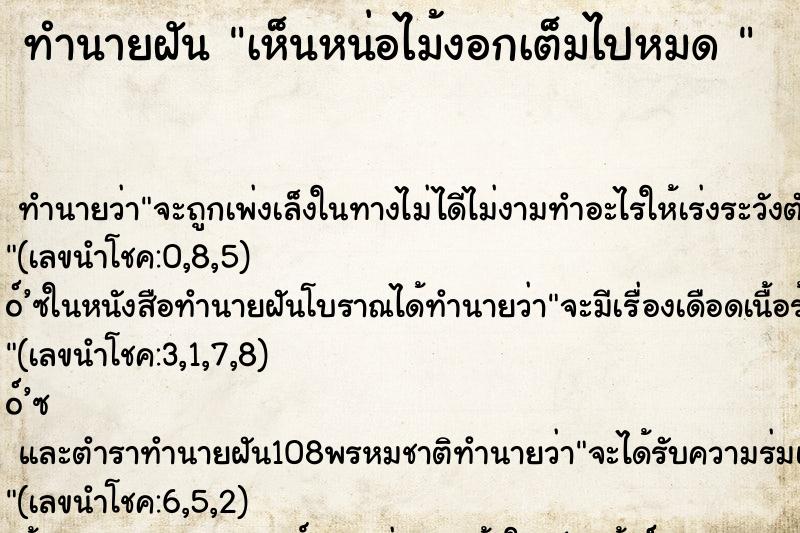 ทำนายฝัน เห็นหน่อไม้งอกเต็มไปหมด 